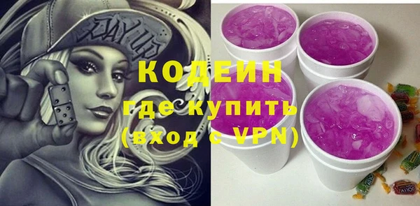 индика Липки