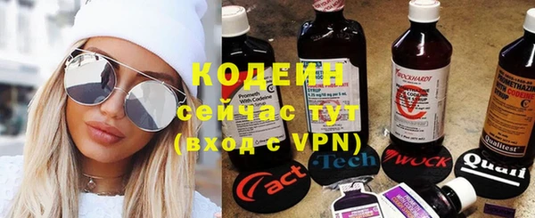 индика Липки