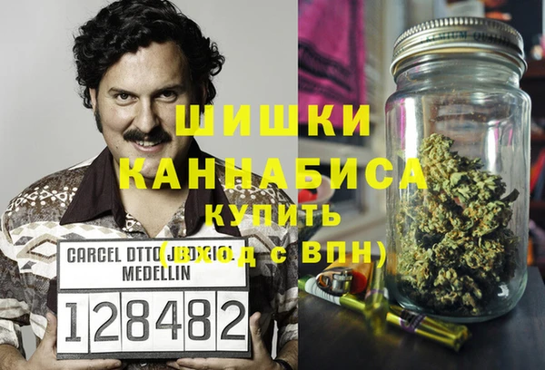 индика Липки