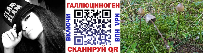 магазин продажи   Хвалынск  Псилоцибиновые грибы мухоморы 