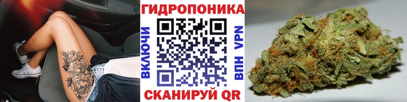 Бошки Шишки сатива  Хвалынск 